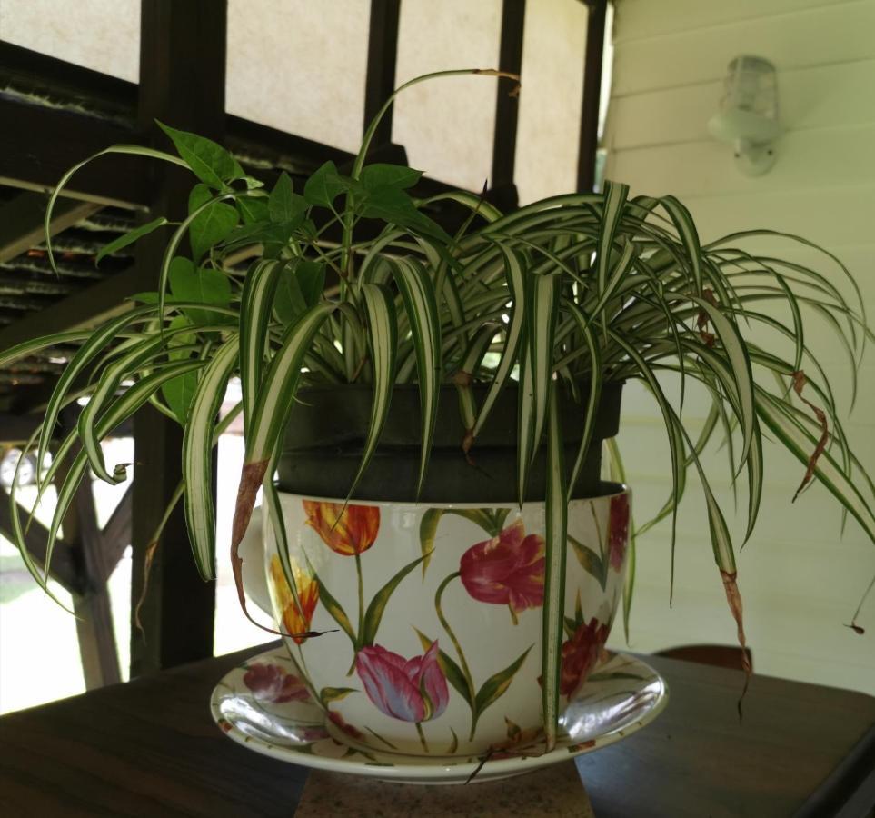 Omati Lodge Taravao المظهر الخارجي الصورة