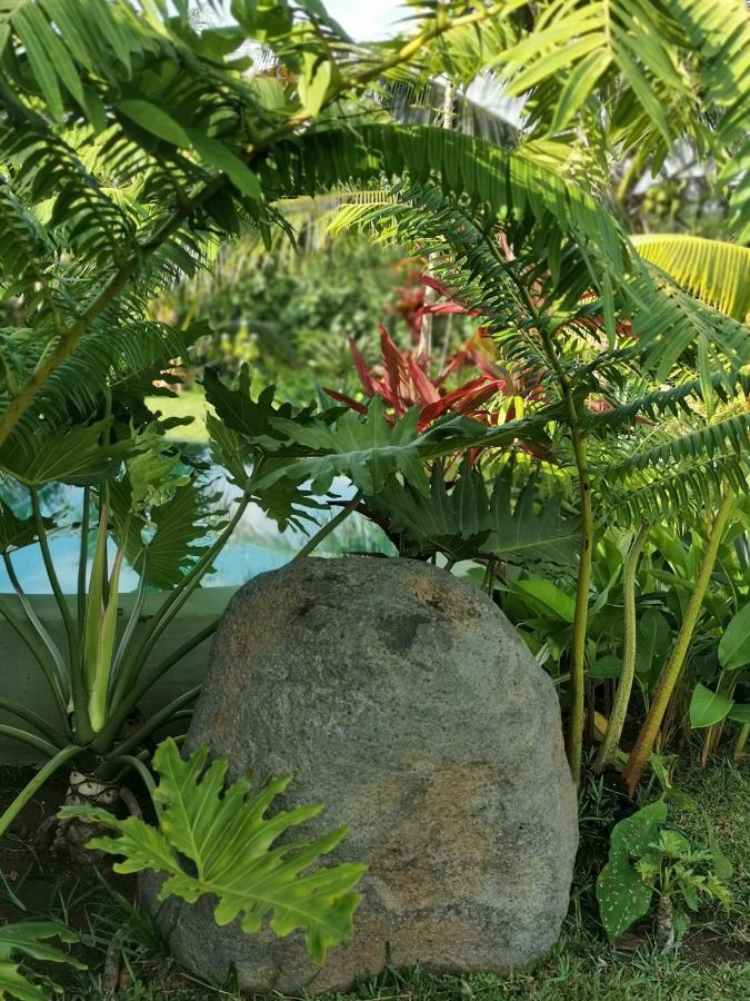 Omati Lodge Taravao المظهر الخارجي الصورة