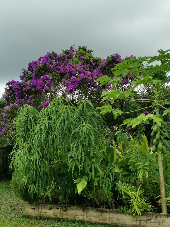 Omati Lodge Taravao المظهر الخارجي الصورة