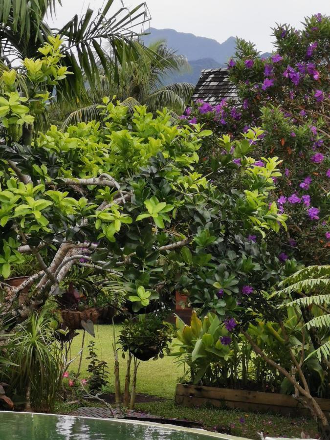 Omati Lodge Taravao المظهر الخارجي الصورة