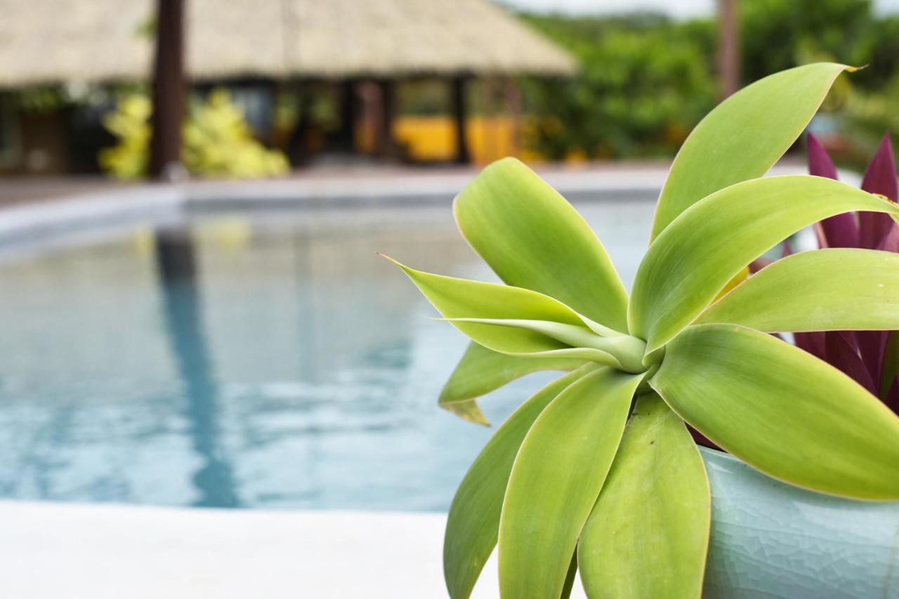 Omati Lodge Taravao المظهر الخارجي الصورة